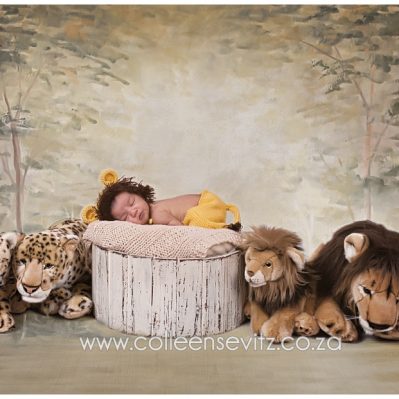 Newborn Photoshoot