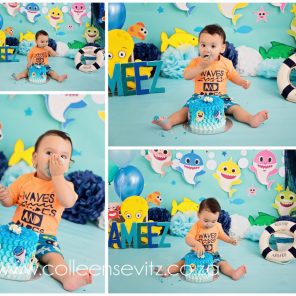 Baby shark Cake Smash